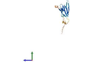 Protein Structure (PS) image for Heat Shock Protein, alpha-Crystallin-Related, B9 (HSPB9) (AA 1-159) protein (His tag) (ABIN7548374)
