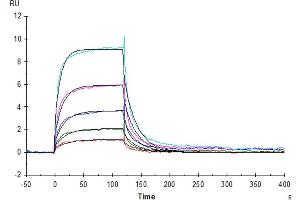 Surface Plasmon Resonance (SPR) image for Inducible T-Cell Co-Stimulator (ICOS) (AA 21-141), (C136S), (C137S) protein (His tag) (ABIN7274838)