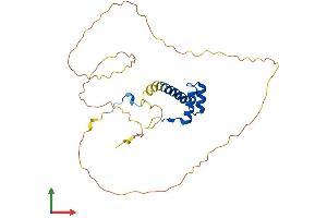 Protein Structure (PS) image for Homeobox B5 (HOXB5) (AA 1-269) protein (His tag) (ABIN7562772)