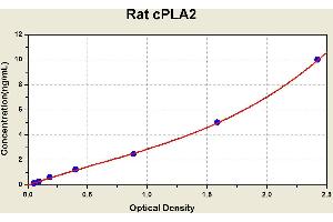 Diagramm of the ELISA kit to detect Rat cPLA2with the optical density on the x-axis and the concentration on the y-axis. (PLA2G4A ELISA 试剂盒)