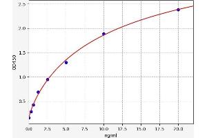 Typical standard curve (KIF5A ELISA 试剂盒)
