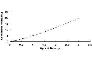 Typical standard curve (Histone 3 ELISA 试剂盒)