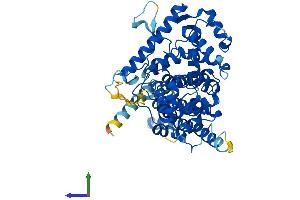 Protein Structure (PS) image for TBC1 Domain Family, Member 19 (TBC1D19) (AA 1-526) protein (His tag) (ABIN7544141)