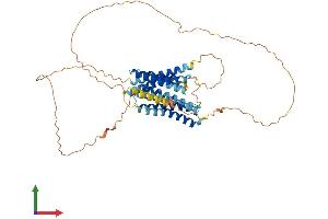 Protein Structure (PS) image for Solute Carrier Family 39 (Zinc Transporter), Member 7 (SLC39A7) (AA 1-476) protein (His tag) (ABIN7557018)