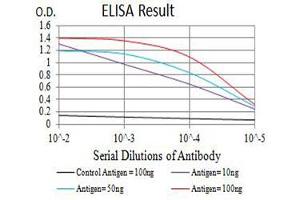 Black line: Control Antigen (100 ng),Purple line: Antigen (10 ng), Blue line: Antigen (50 ng), Red line:Antigen (100 ng) (P2RY1 抗体)