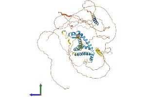 AlphaFold protein structure predicition of Human Recombinant AKAP8 Protein, UniprotID O43823