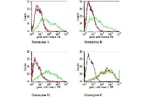 BOSC cells were transiently transfected with expression vectors for Granzyme A, B, K, or M. (GZMK 抗体)