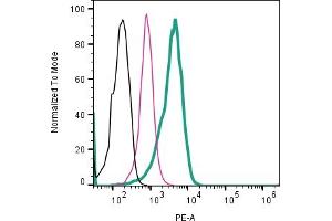 Cell surface detection of CD81 by direct flow cytometry in live intact human  MG glioblastoma cell line: + Rabbit IgG Isotype Control-PE (ABIN7582046). (CD81 抗体  (Extracellular) (PE))