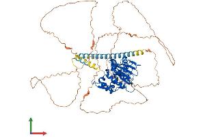 Protein Structure (PS) image for SUMO1/sentrin Specific Peptidase 1 (SENP1) (AA 1-644) protein (His tag) (ABIN7555471)