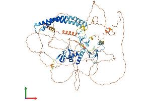 Protein Structure (PS) image for Ring Finger Protein 19A (RNF19A) (AA 1-840) protein (His tag) (ABIN7563370)