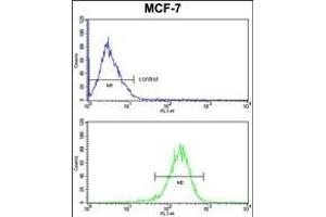 Flow Cytometry (FACS) image for anti-Complement Component 1, Q Subcomponent, A Chain (C1QA) (AA 198-227), (C-Term) antibody (ABIN391492)