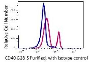 Flow Cytometry (FACS) image for anti-CD40 (CD40) antibody (ABIN6253105) (CD40 抗体)