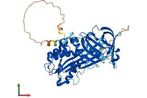 Protein Structure (PS) image for serpin Peptidase Inhibitor, Clade B (Ovalbumin), Member 12 (SERPINB12) (AA 1-423) protein (His tag) (ABIN7561093)