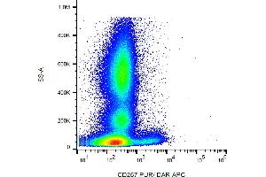 Flow cytometry analysis (surface staining) of human peripheral blood with anti-human CD267 (1A1) purified, DAR-APC. (TACI 抗体)