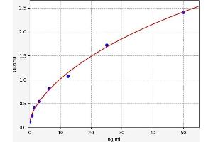 Typical standard curve (CSK ELISA 试剂盒)