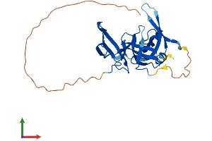 Protein Structure (PS) image for Spindlin 2B (SPIN2B) (AA 1-258) protein (His tag) (ABIN7546272)