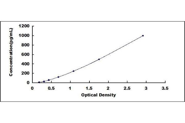 Tissue factor ELISA 试剂盒