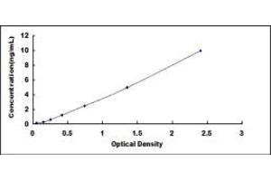 Typical standard curve (CSF3R ELISA 试剂盒)