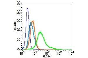 Human Hela cells probed with Geminin Polyclonal Antibody, Unconjugated  (green) at 1:100 for 30 minutes followed by a PE conjugated secondary antibody compared to unstained cells (blue), secondary only (light blue), and isotype control (orange). (Geminin 抗体  (AA 110-142))
