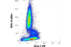 Flow cytometry surface staining pattern of human peripheral whole blood stained using anti-human HLA-C (DT-9) PE antibody (10 μL reagent / 100 μL of peripheral whole blood). (HLA-C 抗体  (PE))