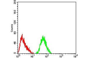 Flow Cytometry (FACS) image for anti-Glutamate Receptor, Ionotropic, Kainate 4 (GRIK4) (AA 21-166) antibody (ABIN5611165)