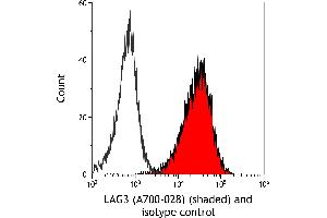 Flow Cytometry (FACS) image for anti-Lymphocyte-Activation Gene 3 (LAG3) (AA 23-450) antibody (ABIN7455196) (Recombinant LAG3 抗体  (AA 23-450))