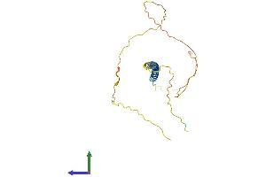 Protein Structure (PS) image for Transcription Elongation Factor A (SII)-Like 2 (TCEAL2) (AA 1-227) protein (His tag) (ABIN7544199)