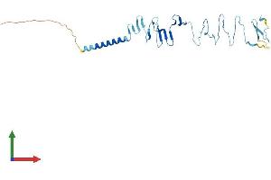 AlphaFold protein structure predicition of Human Recombinant SGCD Protein, UniprotID Q92629