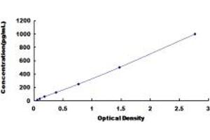 Typical standard curve (HSPB2 ELISA 试剂盒)