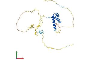 AlphaFold protein structure predicition of Human Recombinant HHEX Protein, UniprotID Q03014 (HHEX Protein (AA 1-270) (His tag))