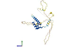 Protein Structure (PS) image for Homeobox C9 (HOXC9) (AA 1-260) protein (His tag) (ABIN7562781)