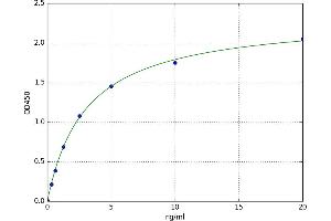 A typical standard curve (Tenascin N ELISA 试剂盒)