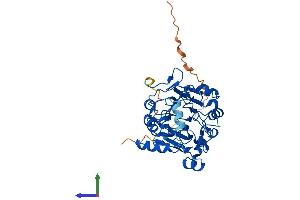 Protein Structure (PS) image for N-Acyl Phosphatidylethanolamine phospholipase D (NAPEPLD) (AA 1-396) protein (His tag) (ABIN7558617)
