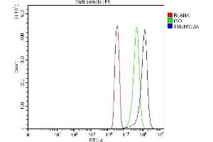 Flow Cytometry analysis of SiHa cells using anti-TMEM132A antibody (ABIN7601539).