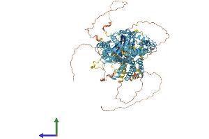 Protein Structure (PS) image for Solute Carrier Family 4, Sodium Bicarbonate Cotransporter, Member 7 (SLC4A7) (AA 1-1034) protein (His tag) (ABIN7564426)