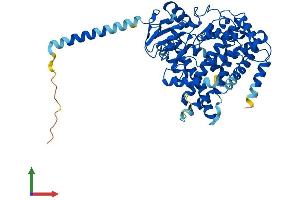 Protein Structure (PS) image for Cytochrome P450, Family 1, Subfamily B, Polypeptide 1 (CYP1B1) (AA 1-543) protein (His tag) (ABIN7553521)
