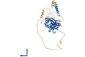 Protein Structure (PS) image for Synaptotagmin VI (SYT6) (AA 1-511) protein (His tag) (ABIN7556195)