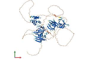 AlphaFold protein structure predicition of Human Recombinant IFI16 Protein, UniprotID Q16666