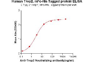 ELISA image for Tumor-Associated Calcium Signal Transducer 2 (TACSTD2) (AA 27-274) protein (mFc-His Tag) (ABIN6961178)