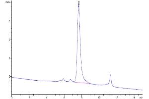 Size-exclusion chromatography-High Pressure Liquid Chromatography (SEC-HPLC) image for CD99 (CD99) (AA 23-122) protein (His tag) (ABIN7274266)