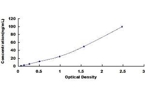 ELISA image for Cytochrome P450, Family 17, Subfamily A, Polypeptide 1 (CYP17A1) ELISA Kit (ABIN425252)