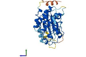 Protein Structure (PS) image for Cyclin-Dependent Kinase 3 (CDK3) (AA 1-305) protein (His tag) (ABIN7553402)