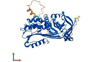 AlphaFold protein structure predicition of Mouse Recombinant Serpinb10 Protein, UniprotID Q8K1K6