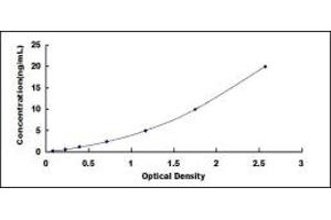 Typical standard curve (WISP2 ELISA 试剂盒)