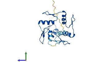 AlphaFold protein structure predicition of Human Recombinant ZNF833P Protein, UniprotID Q6ZTB9 (LOC401898 Protein (AA 1-187) (His tag))