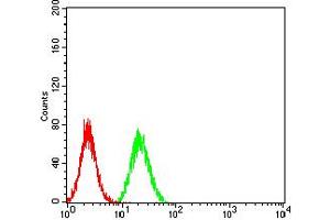 Flow cytometric analysis of Hela cells using IghA1 mouse mAb (green) and negative control (red). (IGHA1 抗体  (AA 207-353))