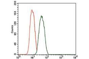 Flow cytometric analysis of A549 cells using PDE1B mouse mAb (green) and negative control (red). (PDE1B 抗体  (AA 370-536))
