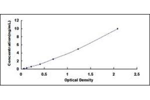 Transmembrane Protein 27 (TMEM27) ELISA Kit