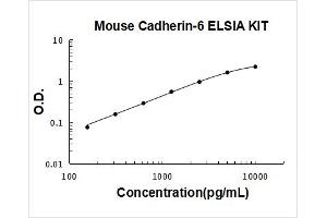 K-Cadherin (CDH6) ELISA Kit