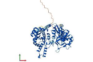 Protein Structure (PS) image for CTP Synthase II (CTPS2) (AA 1-586) protein (His tag) (ABIN7556689)